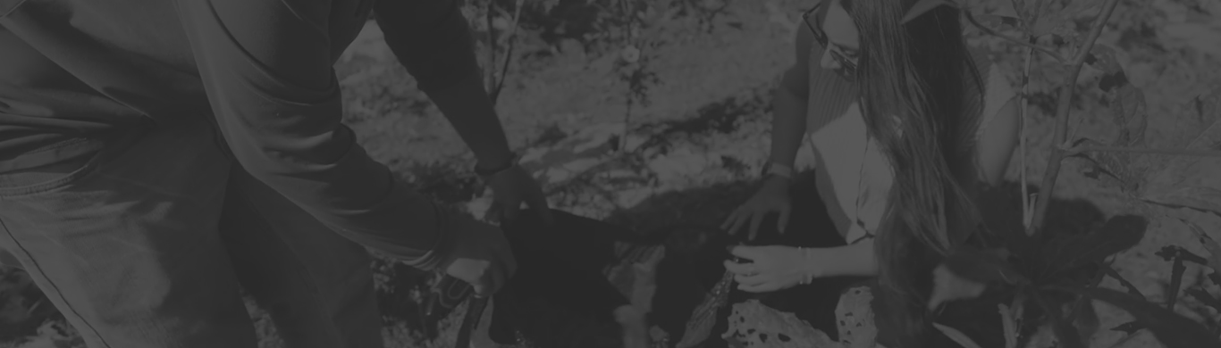 mesure accompagnement 2024