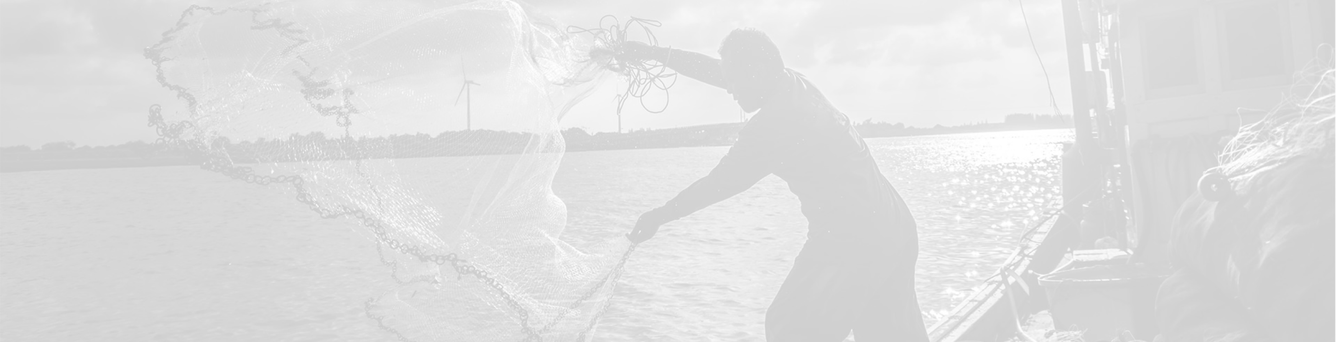 Filières agence rurale