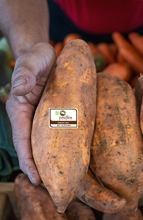 Mesures d'accompagnement