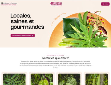 Récolte caillou site