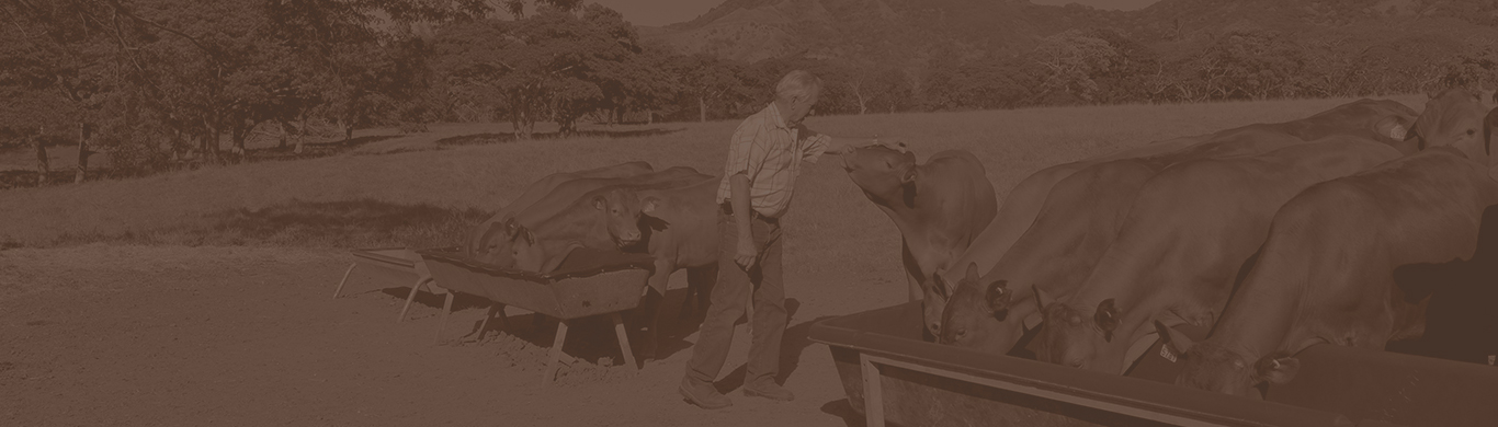 Filière animale bannière