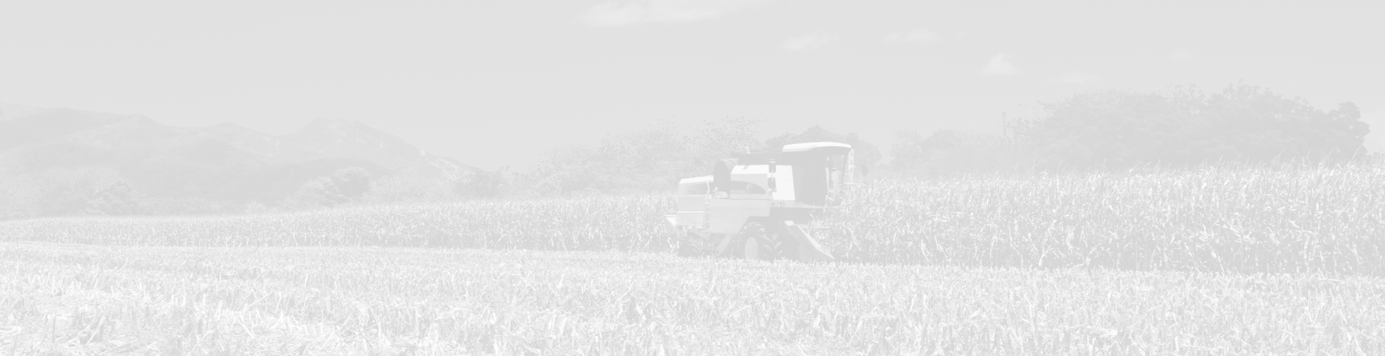 Bois - Accompagnement à la certification