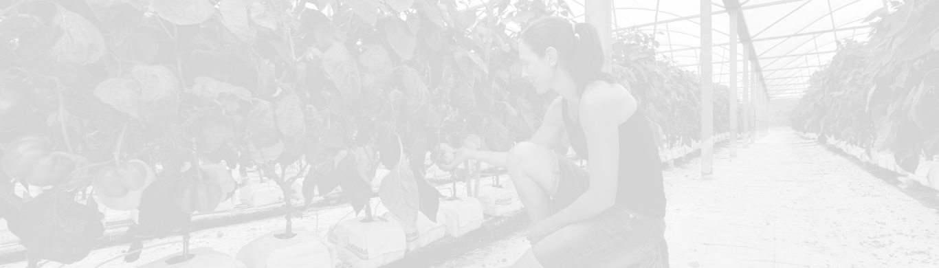 Filière végétale bannière